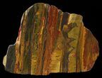 Marra Mamba Stromatolite - Mt Brockman ( Billion Years) #63099-1